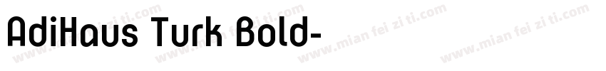 AdiHaus Turk Bold字体转换